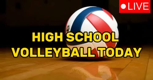 VOLLEYBALL Live